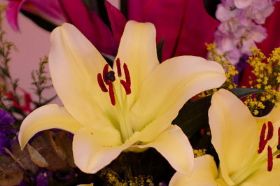 07Flowers 032.jpg