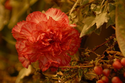 07Flowers 038.jpg