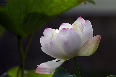 g6/77/741177/3/81194860.bB4IlayX.jpg