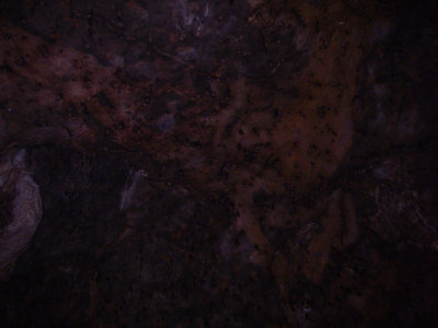 g6/77/74477/3/73432207.nSZ8LfQa.jpg
