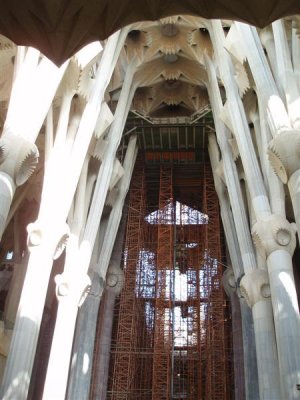 Sagrada Familia Columns like branches of a tree