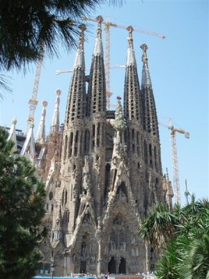 Sagrada Familia Nature, the cheese grater and cranes