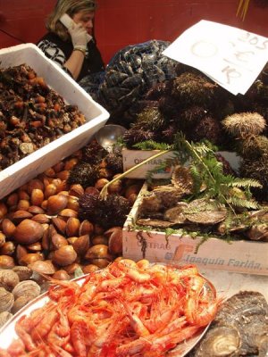 Barcelona Market Shellfish Stall