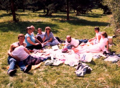 1986 Farnham picnic