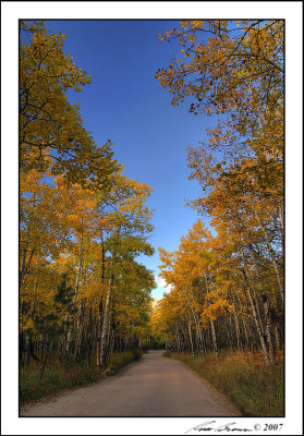 Road to Fern Lake 6162.jpg