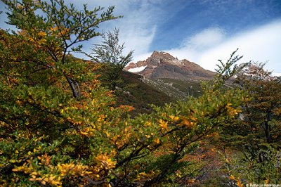 O cume do Cerro Eltrico, emoldurado pelas cores do outono