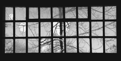 grey window