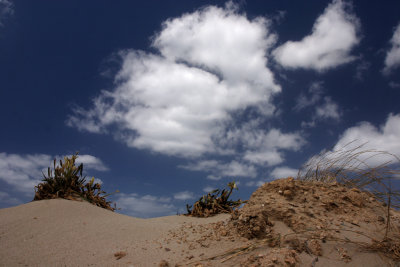 Gallura