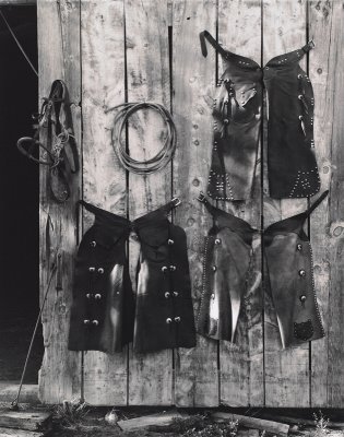 Chaps- Hygiene- CO.jpg
