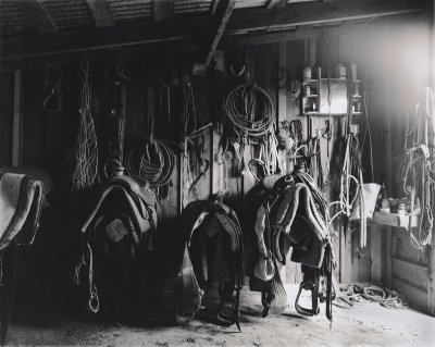 Tack Shed- Montrose.jpg