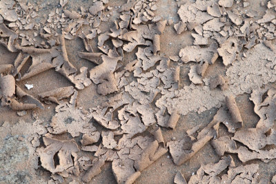 Dry Mud