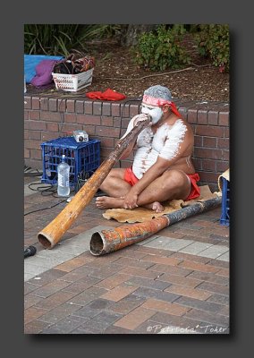 Australian Aboriginal Musician