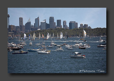 Starting lineup of the Sydney-Hobart Yacht Race