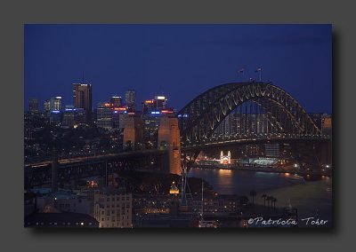 The Sydney Bridge