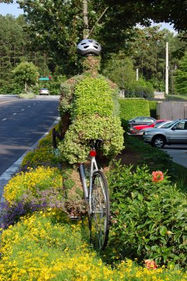 Hedge Racer0001_2.JPG