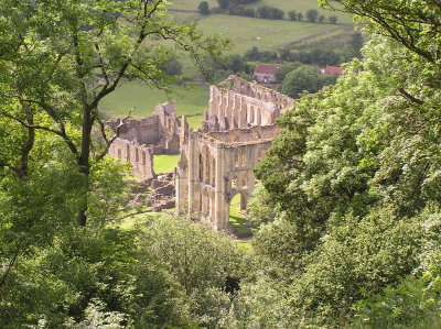 P6200182a.JPG