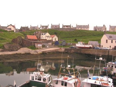 P6220331a.JPG