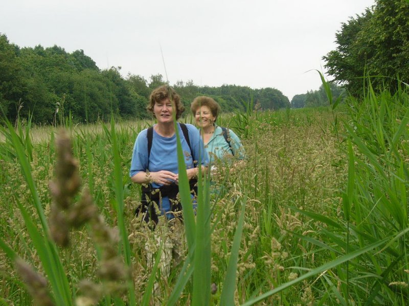 door het hoge gras bij vaart camping de parel