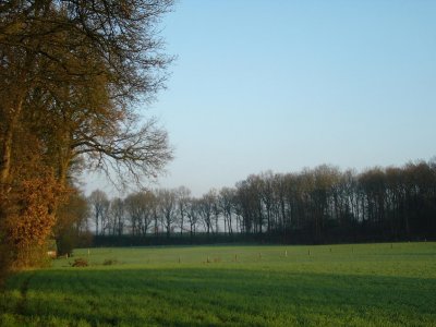 g6/78/312478/3/71777418.ZCNGyuC5.jpg
