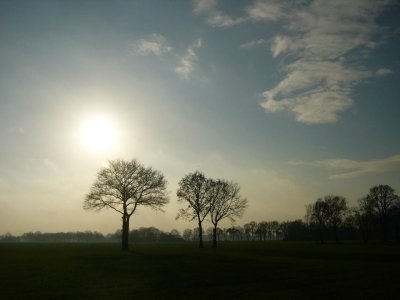g6/78/312478/3/71777463.7gkbjgpL.jpg