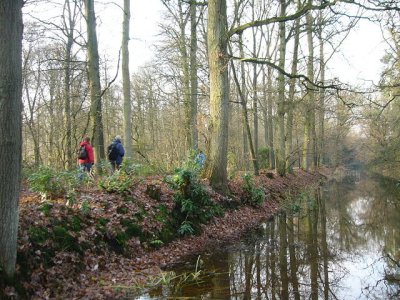 g6/78/312478/3/71777483.GLrECK0H.jpg