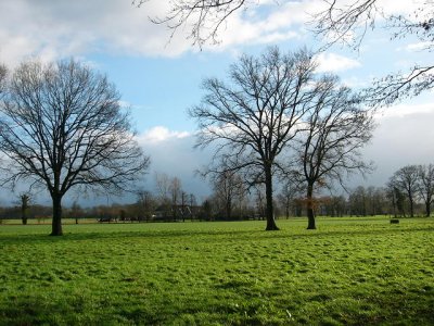 tussen Vorden en Doetinchem