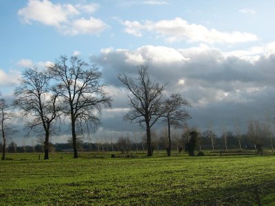 tussen Vorden en Doetinchem