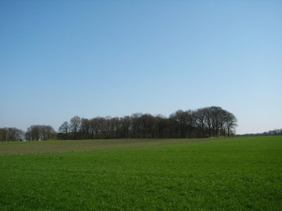 Wandeling HaarlerBerg 25-03-2007