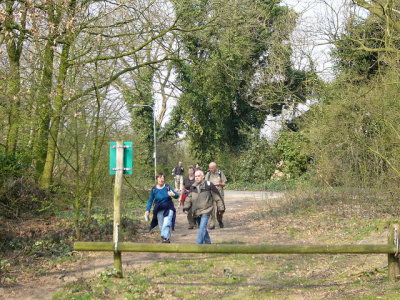 Het bos in