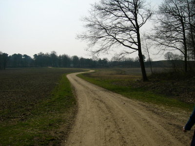 de Groene Streep