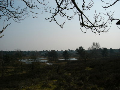 Het Quin