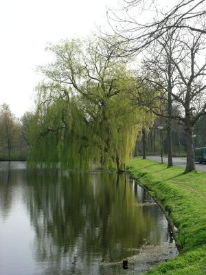 Woerden