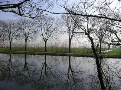 g6/78/312478/3/76747256.NRjMvD8n.jpg