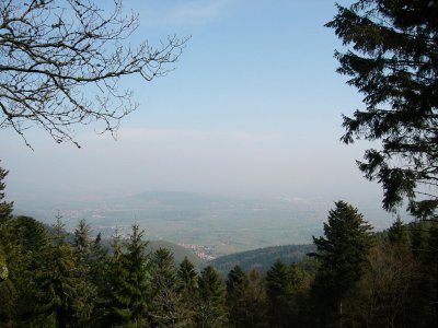 tussen Mont-Saint-Odile en Andlau uitzicht over het rijndal