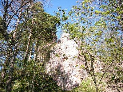 chteau de Haut-Ribeaupierre (650 m)