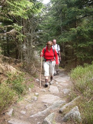 Tussen le Bonhomme  en col de la Schlucht