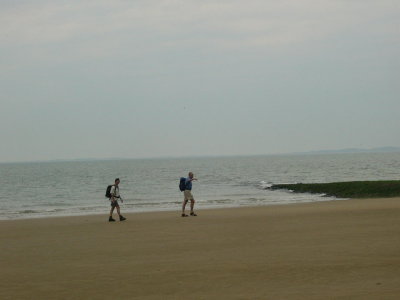 g6/78/312478/3/82263512.Sr317gZW.jpg