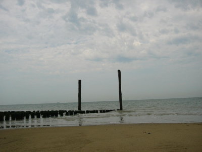 g6/78/312478/3/82263514.XxOd9HLx.jpg