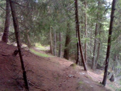 Afdalng door het bos richting Virgen