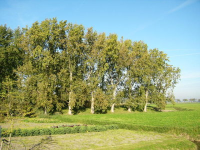 fort aan het Noordhollandskanaal