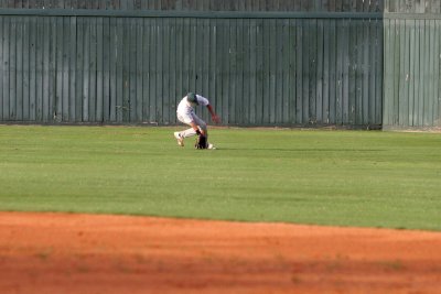 IMG_8786.jpg