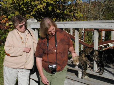 JPG CS Sharon Eileen Cats PA214886.jpg