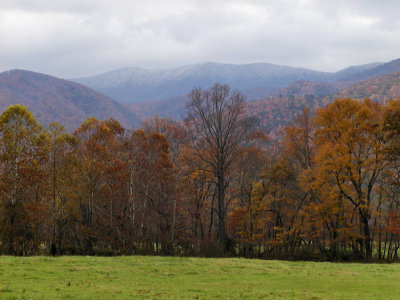 JPG CSbb Snow On The Mountain PA234953.jpg