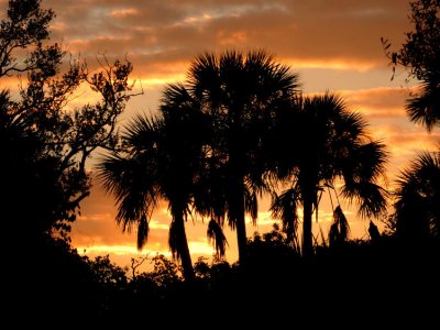 JPG CS Florida Sunrise DSC_2113.jpg