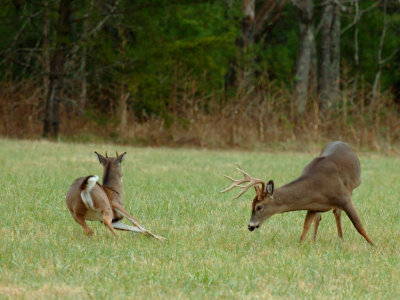 JPG CS 2Spike Challenge DSC_2198.jpg