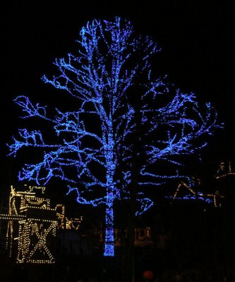 Dollywood Christmas Lights