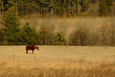 JPG CaS Outstanding In Field DSC_5127.jpg