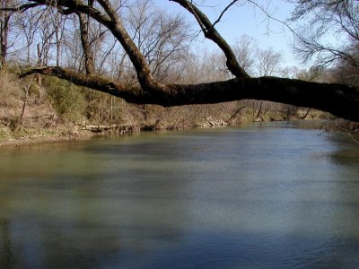 JPG 2CS Harpeth River P3166244.jpg