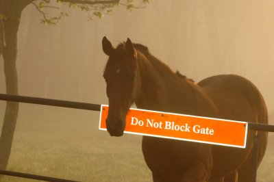 JPG CS Do Not Block Gate DSC_7404.jpg