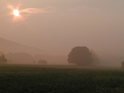 JPG CS Sunstar P8058291.jpg